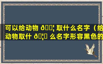 可以给动物 🐦 取什么名字（给动物取什 🦁 么名字形容黑色的）